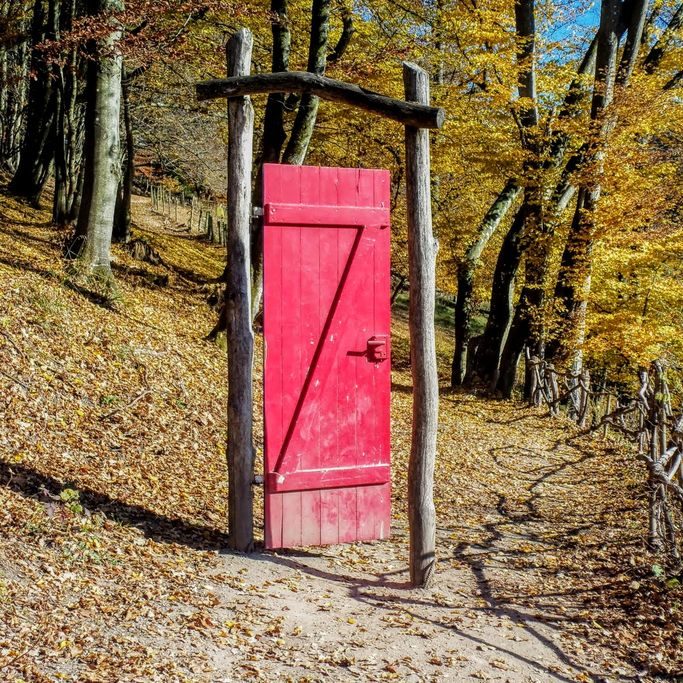 Rote Tür auf Holzgestell im Wald mit buntem Herbstlaub und einem schmalen Weg.